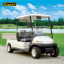 China 2 Seats golf buggy cheap golf cart Electric mini golf cart price